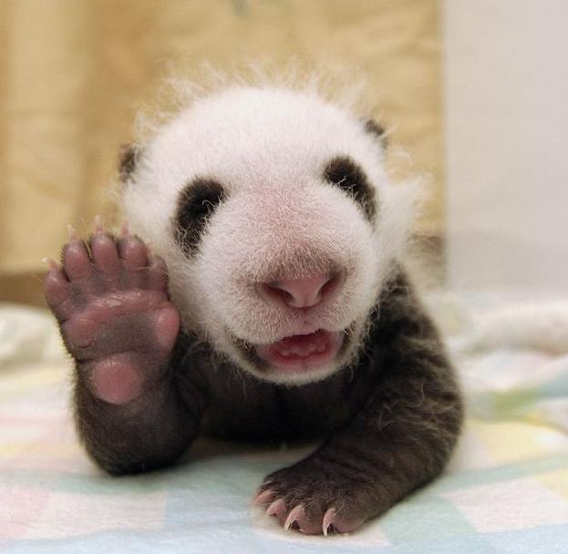 Письма мастера дзен